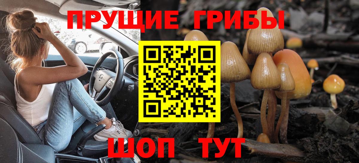 Псилоцибиновые грибы MAGIC MUSHROOMS  Вход с VPN  Отрадное  Галлюциногенные грибы мухоморы 
