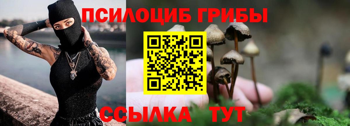 Галлюциногенные грибы прущие грибы Отрадное